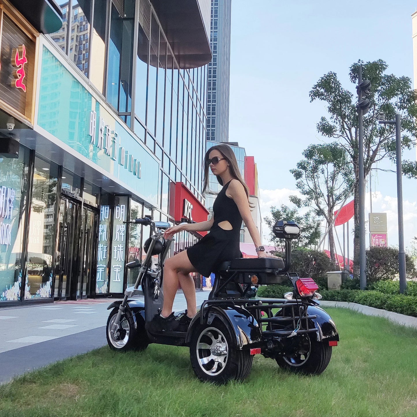 Citycoco Max Load 250KG Adult Electric 3 Wheel Scooter 2000W Motor Max Speed 35-45KM/H 18 Inch Fat Tire Electric Motorcycle EEC.